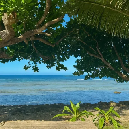 Garden Reef Bungalows