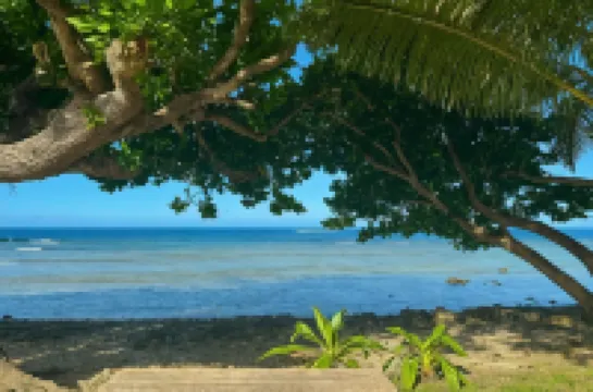 Garden Reef Bungalows