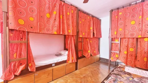 Red Monkey Hostel Barra Funda