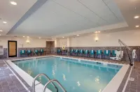 Hampton Inn & Suites Springfield Downtown - Pools