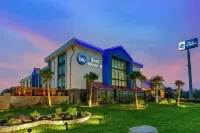 Best Western Corpus Christi Airport Hotel Hotels in Nueces County