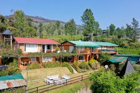 De Rock Jungle Living Resort Отели рядом с достопримечательностью «Блэк Тандер»