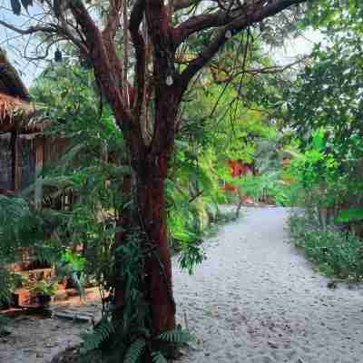 Sunny Bungalow Hotel Exterior