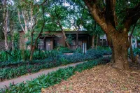 Emdoneni Lodge with Zululand Cat Conservation Project