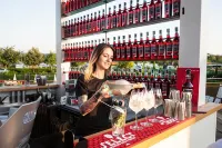 Hu Firenze Camping in Town - Quầy Bar