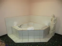 Crystal Star Inn Edmonton Airport with Free Shuttle to and from Airport - Hot Tub