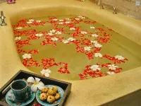 โรงแรมภูเก็ตออร์คิด รีสอร์ท แอนด์ สปา - รีสอร์ท