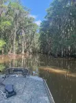 The Minnow Bucket
