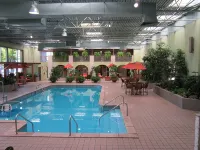 Holiday Inn PORTSMOUTH DOWNTOWN by IHG - Pools