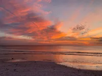 Endless Summer-  On Pine Ave, steps to beach & pier w/ water view & dock - Wi-Fi