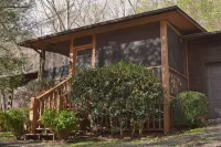 Forest Therapy - Exactly What You're Looking For! - Gym