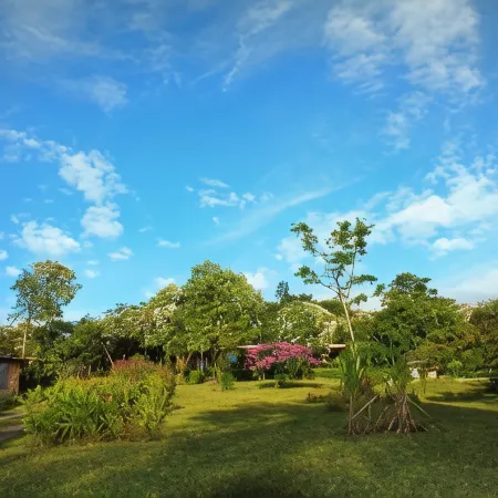 Cabañas la Pradera