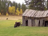 Pine Crest- Historic 3 bedroom Log Cabin built in the 1930's by the CCC. - Chalets