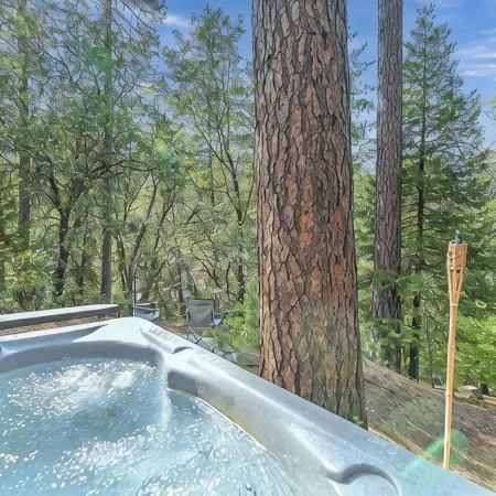 Chalet in Stanislaus National Forrest near Murphys w/ privacy and canyon views