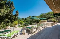 Apartments & Rooms Jokovic