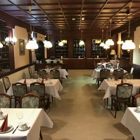 Parkhotel Bergheim Отели в г. Бергхайм