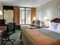 Quality Inn Vienna - Tysons Corner Hotels in Tysons Corner