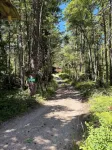 Cozy cabin bordering forest service trails. Perfect escape on 10 acres of forest - 小木屋