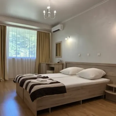 Pitsunda Hotel Hotels in 