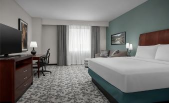 Hilton Garden Inn Denver Downtown