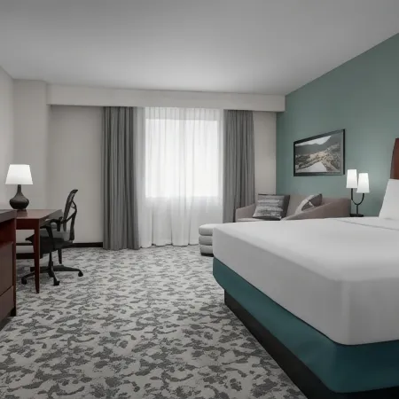 Hilton Garden Inn Denver Downtown