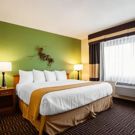 Quality Inn Bolingbrook I-55