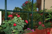Sunrise Hotel - Sea View