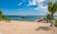 Carolina Kai - Beautiful Luxury Villa Private Beach Near Rum Point & Starfish Pt - 3 Yıldız