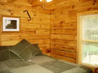 賓州劉易斯堡雲杉溪隱居245英畝森林獨棟木屋 - 小木屋
