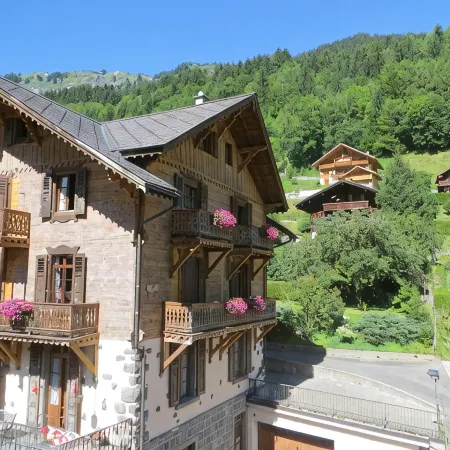 Hotel Suisse Отели в г. Шампери