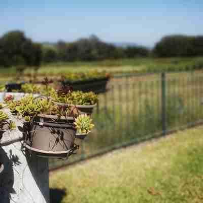 Saborido House - Farm in quiet environment and near the sea Hotel Exterior