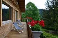 Chalet BAMBI in GÉRARDMER for unforgettable holidays - 4-Star