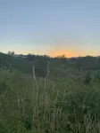 懷特薩蒙度假屋; 熱水浴缸, 匹克球場, 籃球場, 健身房 & 更多! - Wi-Fi