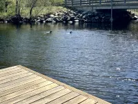 Grandmas Cottage on the River and the Rail Trail in Wolfeboro Hotels in Wolfeboro
