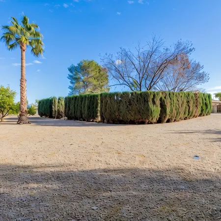 Resort Backyard w/Private Pool- Spacious Home close to Stadium & Spring Training