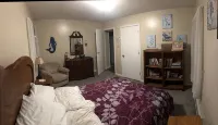 3 bed 2 bath house w/ covered parking spot and fenced backyard. - 3 estrellas