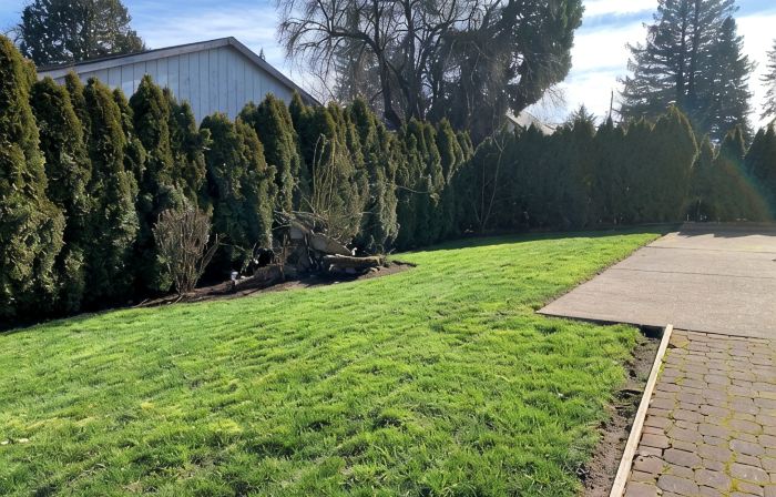 ༄✦ Whispering Woods Oasis✦༄ | 5B/3BA, W/Pool Table