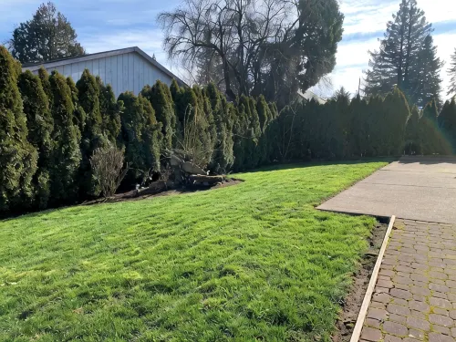 ༄✦ Whispering Woods Oasis✦༄ | 5B/3BA, W/Pool Table - Homestays