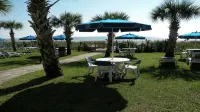 "Direct" Ocean Front 9th Floor Cozy Coastal Cottage Reasonable Rates - Jacuzzi