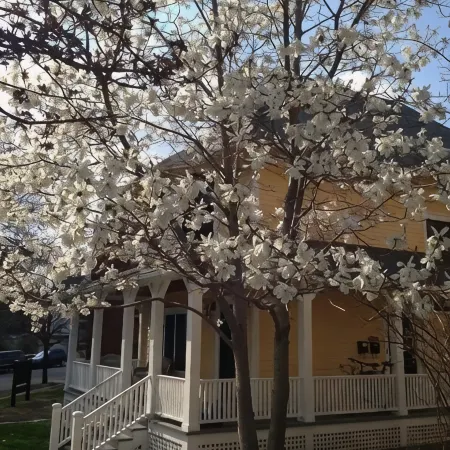 COMFORT and CHARM - Stay in St. Paul's FAVORITE rental in historic Summit Hill!
