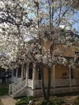 COMFORT and CHARM - Stay in St. Paul's FAVORITE rental in historic Summit Hill! - ห้องครัว