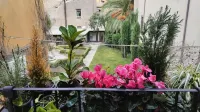 Ottantotto Viterbo - Homestays