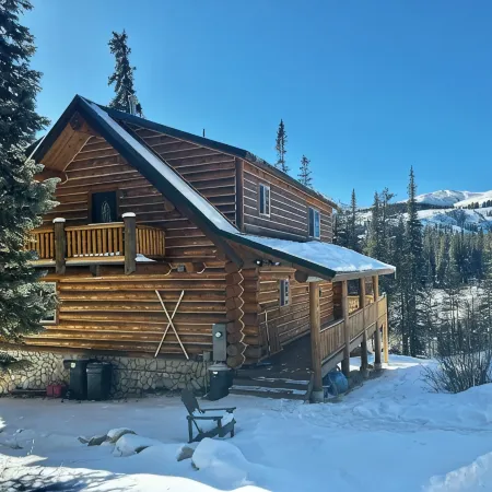 Renovated, roomy, 4BR, private log cabin with rec room, Starlink, views & more…