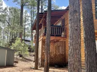 Your going to fall in love with this cabin.outstanding for family,multi families - Homestays