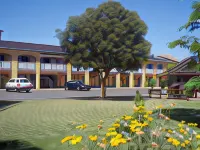 Lakeview Motel - Motels