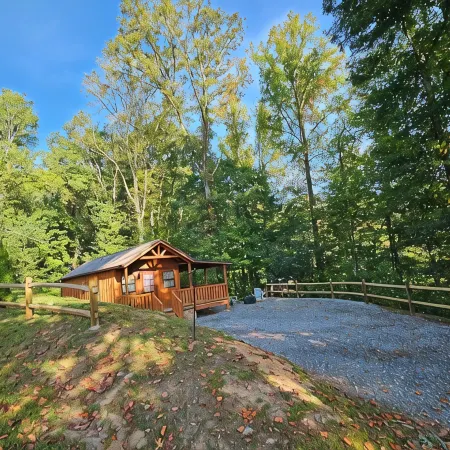 Tiny Hideaway Cabin mins. from Downtown Bryson City and Deep Creek National Park
