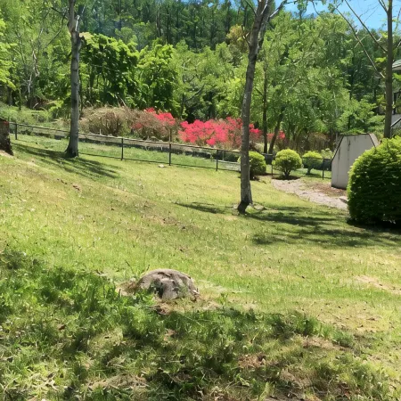 Kashibesso Nature Village Suwaen