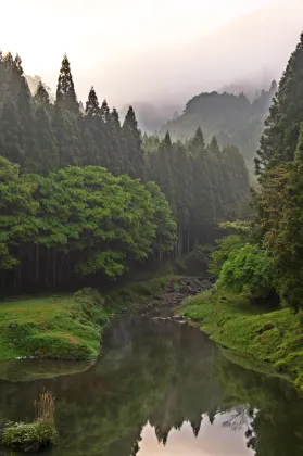 阿倫敦 飛 馬累