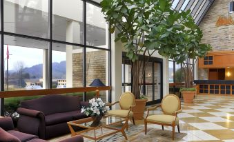 a modern living room with large windows , wooden furniture , and a green plant , offering a view of the mountains outside at DoubleTree by Hilton Hotel Oak Ridge-Knoxville