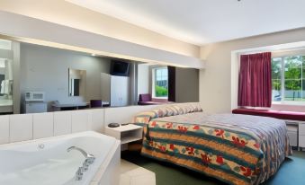Microtel Inn & Suites by Wyndham Amarillo